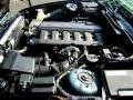 2.5 Liter DOHC 24-Valve Inline 6 Cylinder 1995 BMW 5 Series 525i Sedan Engine