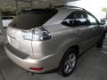 Savannah Beige Metallic - RX 350 AWD Photo No. 4