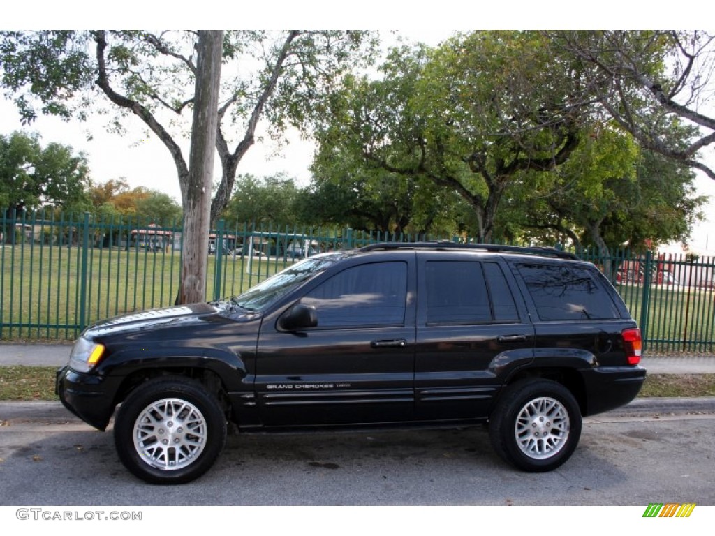 2004 Grand Cherokee Limited 4x4 - Brillant Black Crystal Pearl / Dark Slate Gray photo #3