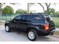 2004 Brillant Black Crystal Pearl Jeep Grand Cherokee Limited 4x4  photo #6