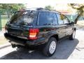 2004 Brillant Black Crystal Pearl Jeep Grand Cherokee Limited 4x4  photo #8