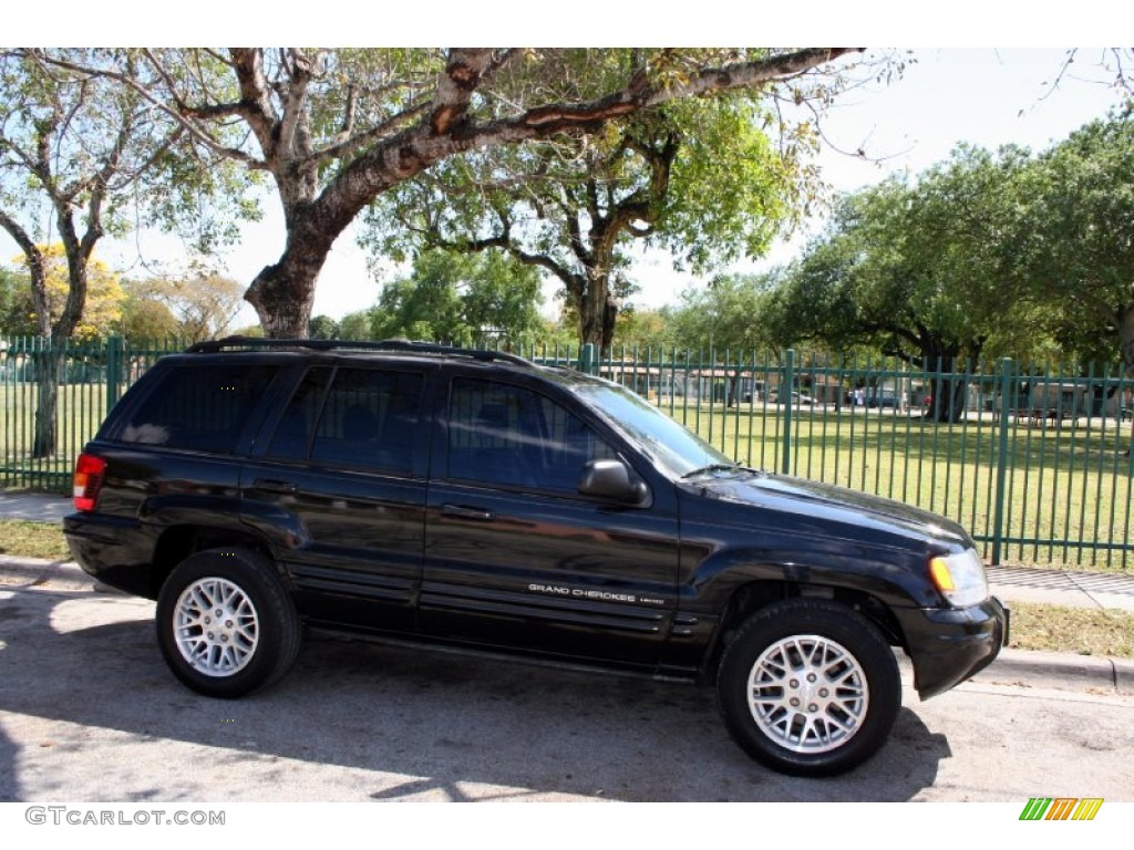 2004 Grand Cherokee Limited 4x4 - Brillant Black Crystal Pearl / Dark Slate Gray photo #12
