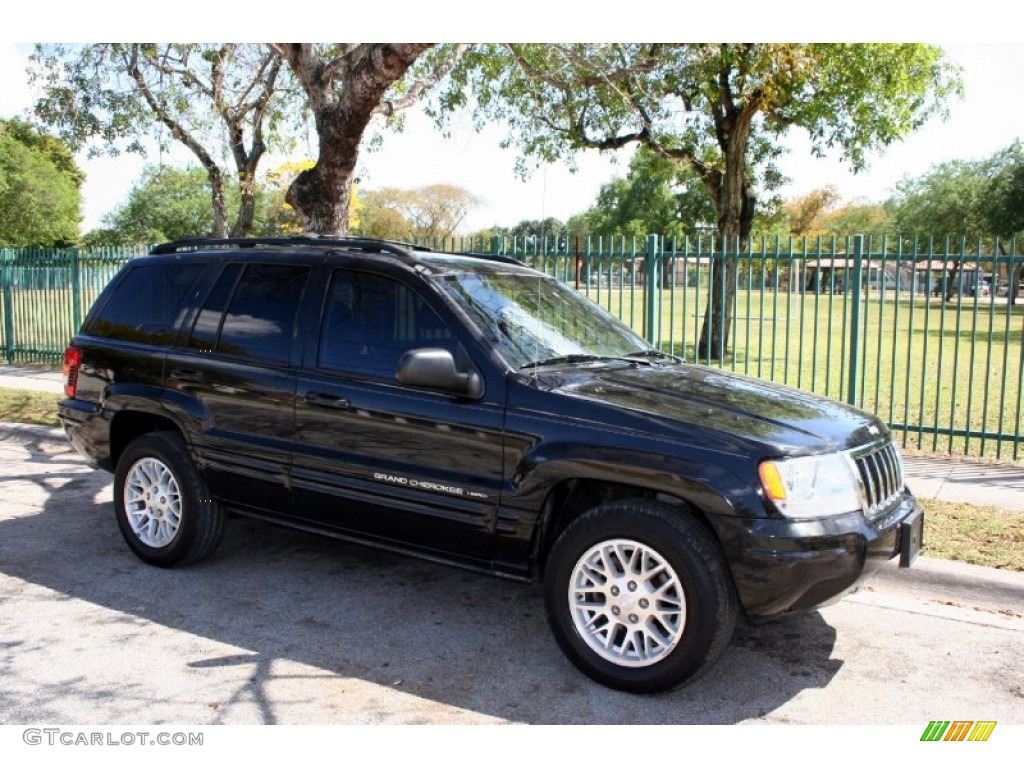 2004 Grand Cherokee Limited 4x4 - Brillant Black Crystal Pearl / Dark Slate Gray photo #13