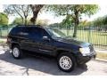2004 Brillant Black Crystal Pearl Jeep Grand Cherokee Limited 4x4  photo #13