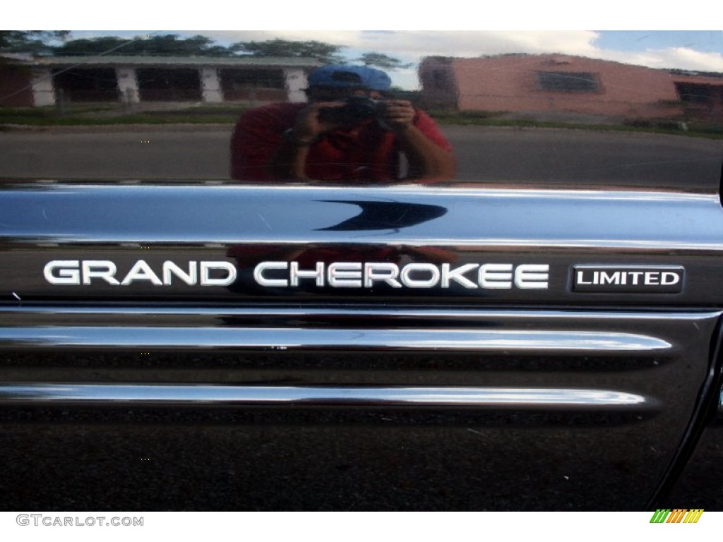 2004 Grand Cherokee Limited 4x4 - Brillant Black Crystal Pearl / Dark Slate Gray photo #52