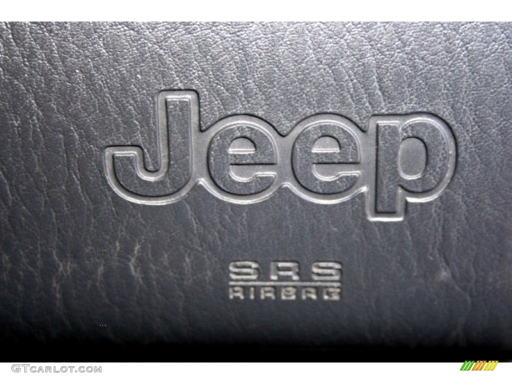 2004 Grand Cherokee Limited 4x4 - Brillant Black Crystal Pearl / Dark Slate Gray photo #58