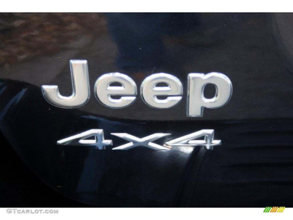 2004 Grand Cherokee Limited 4x4 - Brillant Black Crystal Pearl / Dark Slate Gray photo #67