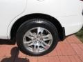 Aspen White Pearl - MDX Technology Photo No. 9