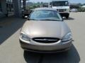 Arizona Beige Metallic - Taurus SES Photo No. 9