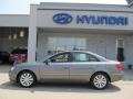 2009 Willow Gray Hyundai Sonata Limited V6  photo #5