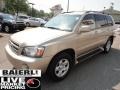 Vintage Gold Metallic - Highlander I4 Photo No. 7