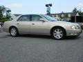 Gold Mist - DTS Sedan Photo No. 2