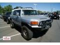 Titanium Metallic - FJ Cruiser 4WD Photo No. 1