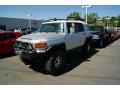 Titanium Metallic - FJ Cruiser 4WD Photo No. 4