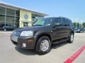 Charcoal Beige Metallic 2006 Mercury Mariner Luxury