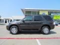 Charcoal Beige Metallic - Mariner Luxury Photo No. 2