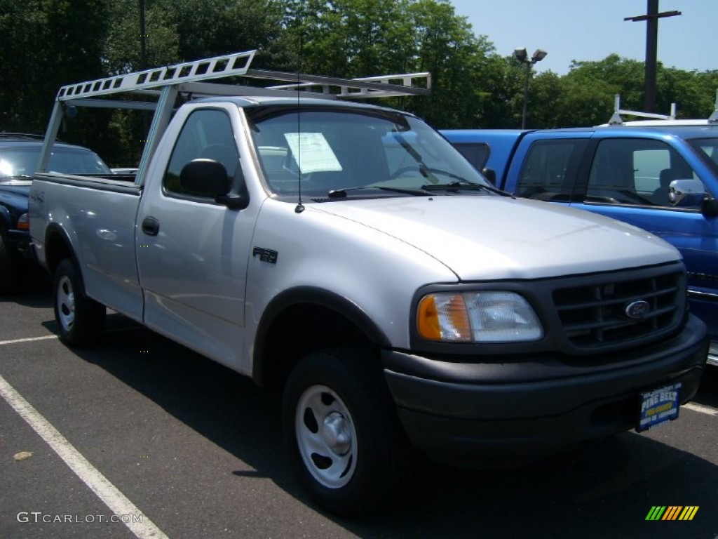 2002 F150 XL Regular Cab 4x4 - Silver Metallic / Medium Graphite photo #3
