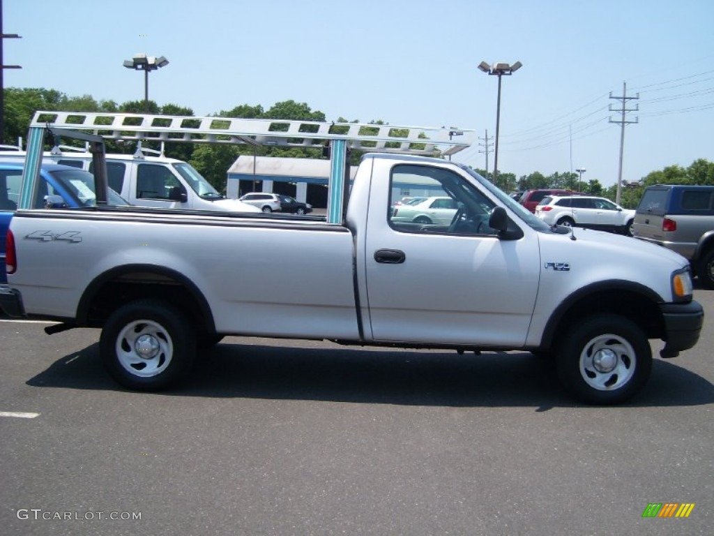 2002 F150 XL Regular Cab 4x4 - Silver Metallic / Medium Graphite photo #7
