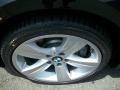 2010 BMW 3 Series 335i xDrive Coupe Wheel and Tire Photo