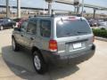 Titanium Green Metallic - Escape XLT V6 Photo No. 2