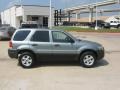 Titanium Green Metallic - Escape XLT V6 Photo No. 5
