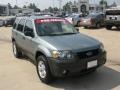 Titanium Green Metallic - Escape XLT V6 Photo No. 6