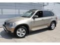 Platinum Bronze Metallic - X5 3.0si Photo No. 1