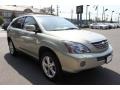Bamboo Pearl - RX 400h AWD Hybrid Photo No. 6
