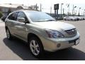 2008 Bamboo Pearl Lexus RX 400h AWD Hybrid  photo #6