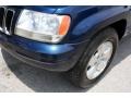 2001 Patriot Blue Pearl Jeep Grand Cherokee Limited 4x4  photo #22