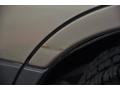 Platinum Silver Metallic - Forester 2.5 X Photo No. 18