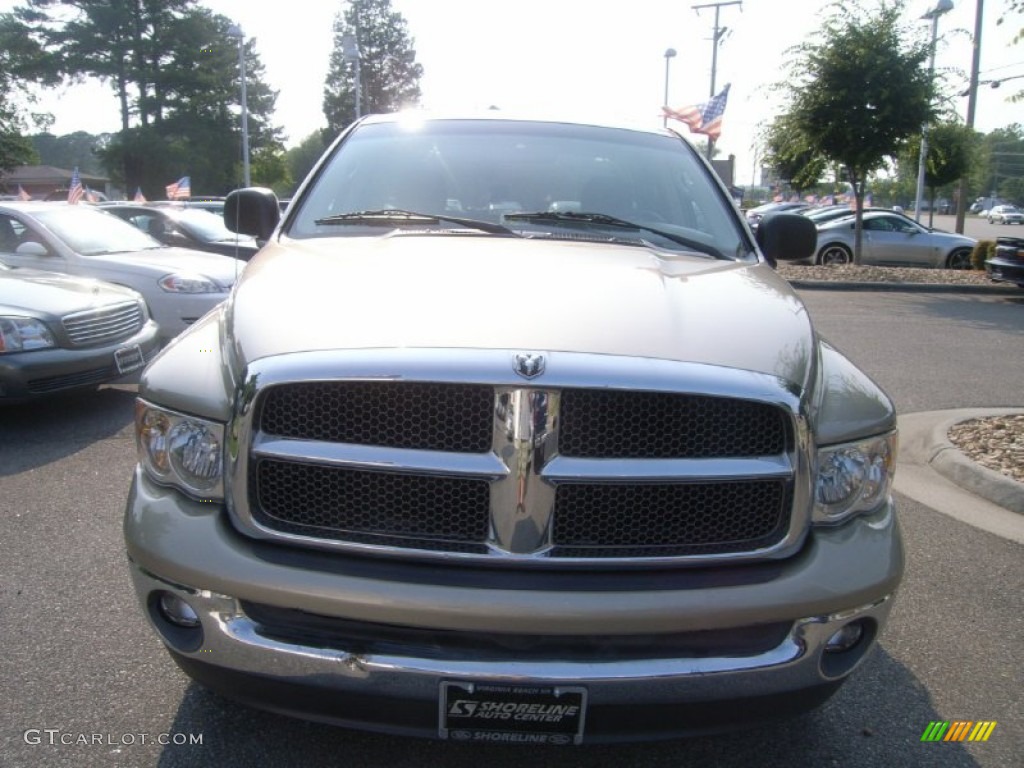 2002 Ram 1500 SLT Quad Cab 4x4 - Light Almond Pearl / Taupe photo #9