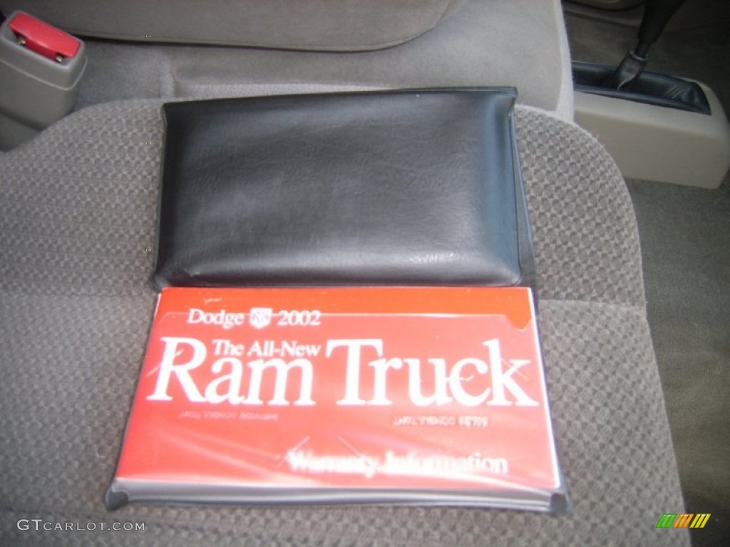 2002 Ram 1500 SLT Quad Cab 4x4 - Light Almond Pearl / Taupe photo #15