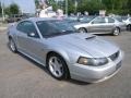 2001 Silver Metallic Ford Mustang GT Coupe  photo #7