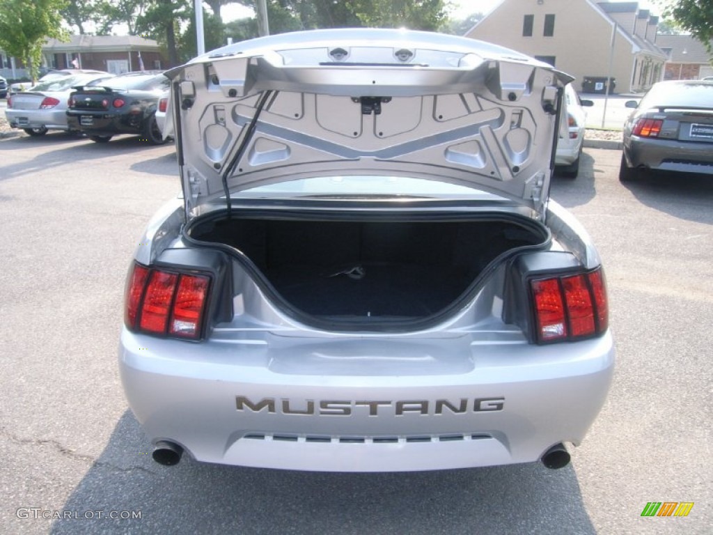 2001 Mustang GT Coupe - Silver Metallic / Dark Charcoal photo #10