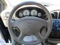 Taupe Steering Wheel Photo for 2002 Dodge Caravan #50317812