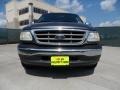2002 Dark Shadow Grey Metallic Ford F150 XLT SuperCrew  photo #9