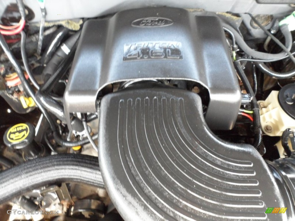 2002 Ford F150 XLT SuperCrew 4.6 Liter SOHC 16V Triton V8 Engine Photo #50318310