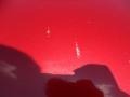 Barcelona Red Metallic - Camry LE Photo No. 10
