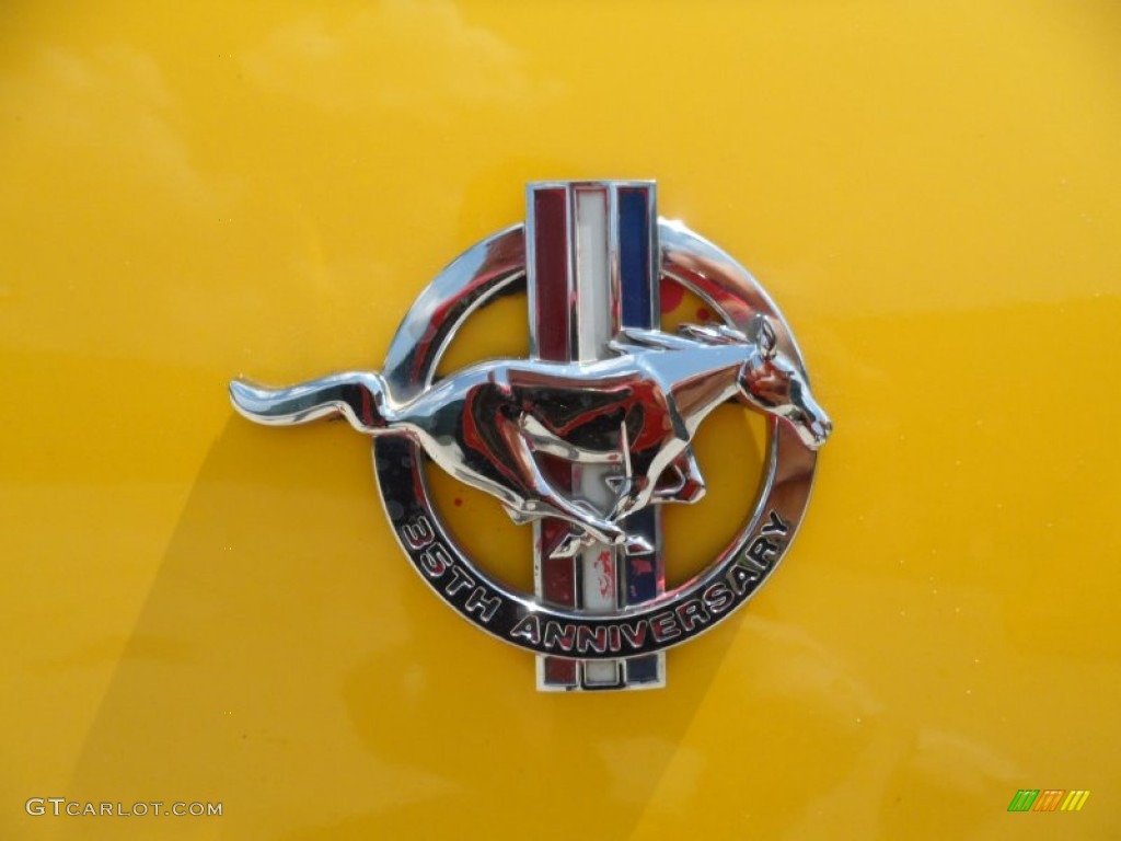 1999 Ford Mustang V6 Coupe Marks and Logos Photos