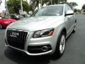 Ice Silver Metallic 2010 Audi Q5 3.2 quattro Exterior