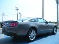 Sterling Grey Metallic 2010 Ford Mustang GT Premium Coupe Exterior