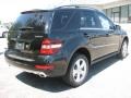 2011 Black Mercedes-Benz ML 350 BlueTEC 4Matic  photo #4