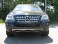 Black - ML 350 4Matic Photo No. 2