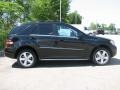 Black - ML 350 4Matic Photo No. 3