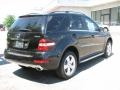 Black - ML 350 4Matic Photo No. 4