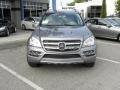 2011 Palladium Silver Metallic Mercedes-Benz GL 350 Blutec 4Matic  photo #4