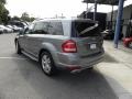 2011 Palladium Silver Metallic Mercedes-Benz GL 350 Blutec 4Matic  photo #9