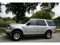 Silver Metallic - Expedition XLT 4x4 Photo No. 2