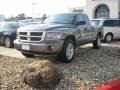 Mineral Gray Metallic 2011 Dodge Dakota Lone Star Extended Cab